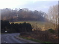 Hills above Horsham Road, Bramley