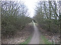 Haswell to Hart railway path