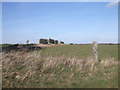 View from farm track to Calmsden