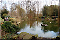 Lake at Cedars Park, Cheshunt, Hertfordshire