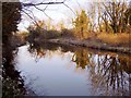 The Colne Brook, looking upstream