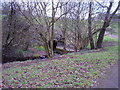 Withycombe Brook looking West