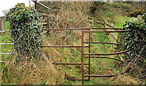 J3655 : Wicket gate near Ballynahinch by Albert Bridge