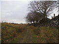 The Pennine Bridleway northeast of Holme Chapel