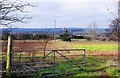 Countryside near Hartlebury