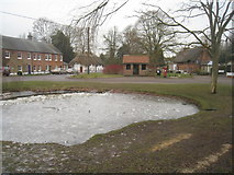 SU5646 : North Waltham pond by Mr Ignavy