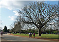 Carriage Drive, Dulwich Park (1)