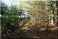 Footpath off Upper Barn Hill