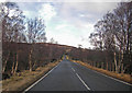 A939 approaching Aitnoch