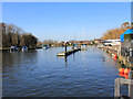 River Stour, Christchurch