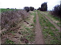 Molehills by the byway, Homington Down