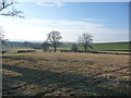 Field below Ballshill Cottage near Acton Burnell