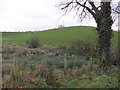 Ballynahatty Townland