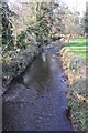 Mid Devon : The River Lowman