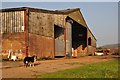 ST0216 : Mid Devon : Murley Farm Barn by Lewis Clarke
