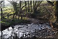 ST0216 : Mid Devon : Small Stream by Lewis Clarke