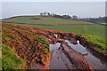ST0215 : Mid Devon : Muddy Field Entrance by Lewis Clarke