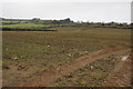 Farmland at Michaelstow