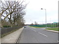 Reevy Avenue - viewed from Saxton Avenue