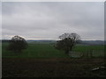 The footpath from Pilley towards Wortley