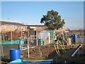 Woodlands Road allotment