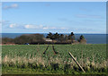 Sea view from Cornelian Drive