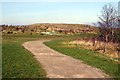 Footpath in Shaw Forest Park