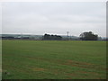 Farmland, Caythorpe