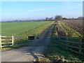 Track leading to Deeside House