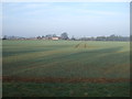 Farmland towards the A17