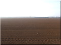 Farmland, Leadenham Heath