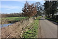 Shellow Lane, Shellow Farm, Shellow Wood