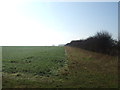 Farmland, Wellingore Heath