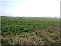 Farmland, Wellingore Heath