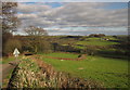 Towards the Yarty valley