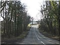 The woods at the foot of Titham Hill