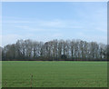 Farmland off the A607