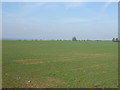 Farmland off Grantham Road