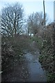 West Somerset : Small Stream / Footpath