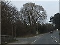 The road from Fremington Pill joins the B3233