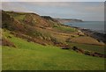 Coast at East Prawle