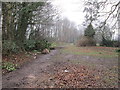 The well used path towards the viaduct walk