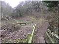 Wychwood Way bridge over the Evenlode