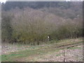 Footpath from the Wychwood Way to East End