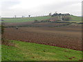 Fields by Combs Farm