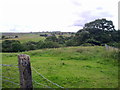 NZ0647 : View from the road at Cockshot Banks by Robert Graham