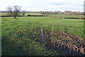 Farmland near Heath Farm