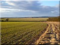 SU4138 : Farmland, Chilbolton by Andrew Smith