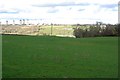 Grass field, Merryton