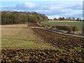 Farmland, Crawley